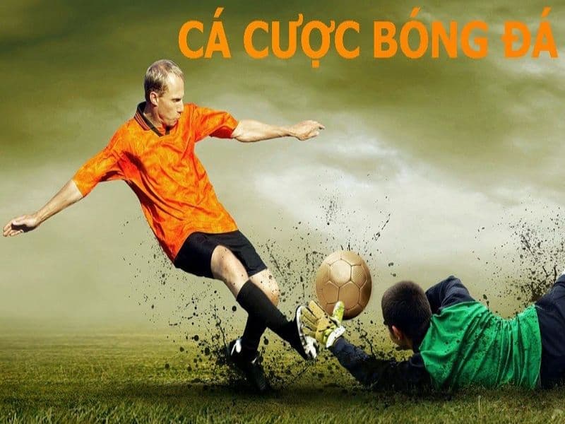 Cá độ bóng đá luôn thua