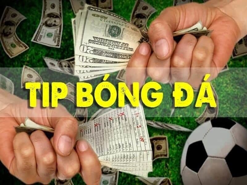 Cá độ bóng đá luôn thua