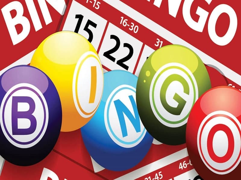 bingo là gì