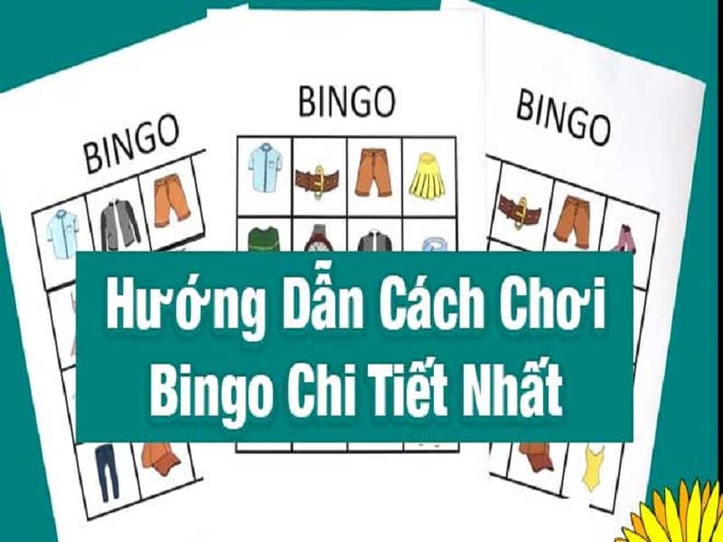 bingo là gì