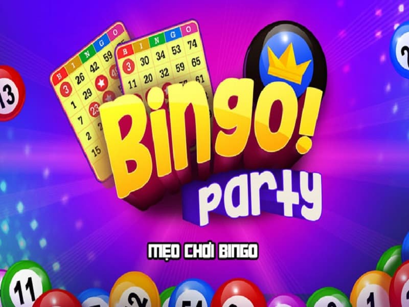bingo là gì
