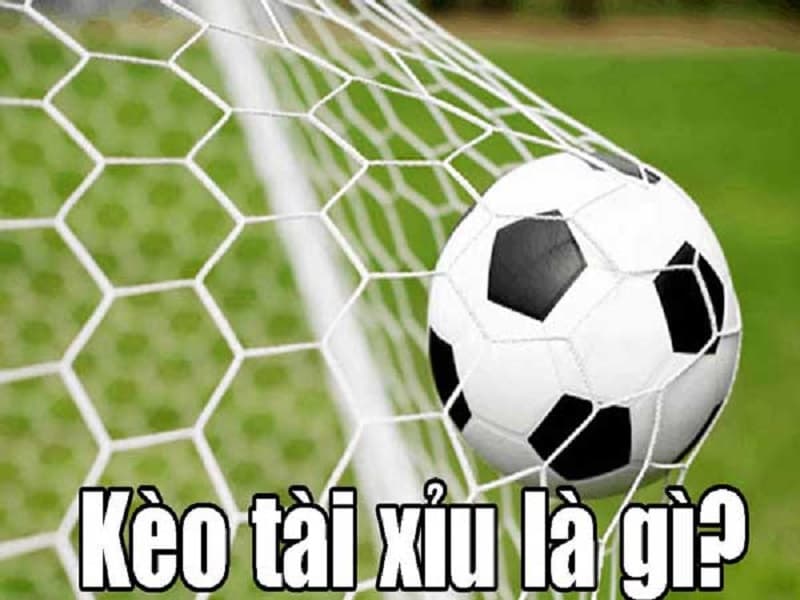 Tài xỉu 2.5 là sao