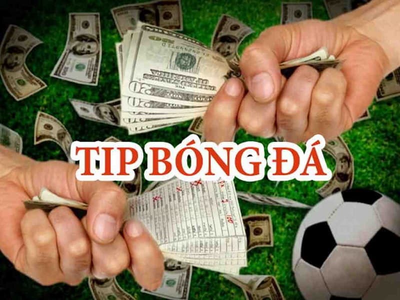 Tips bóng đá là gì
