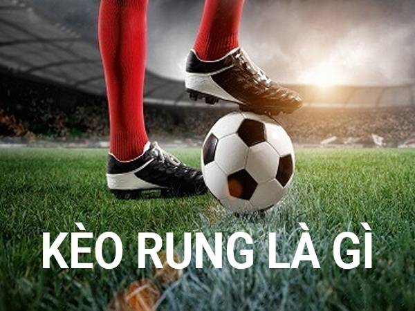 Bật mí mẹo cược kèo rung dễ thắng