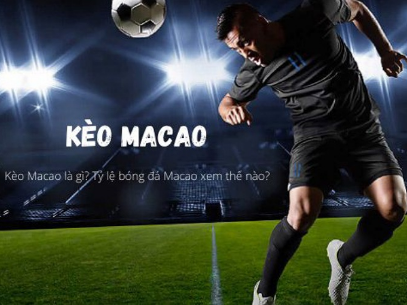 Hướng dẫn cho những bạn mới cách coi tỷ lệ kèo chuẩn nhất tại fun88