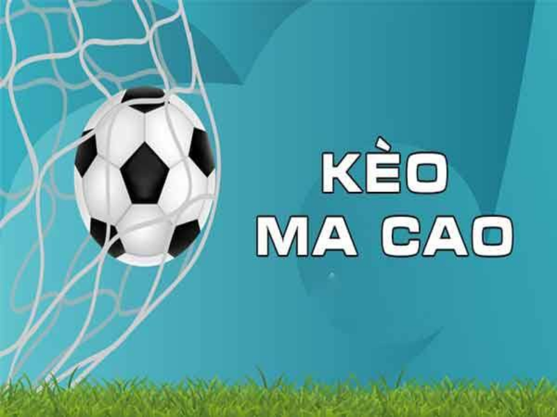 Hướng dẫn cho những bạn mới cách coi tỷ lệ kèo chuẩn nhất tại fun88