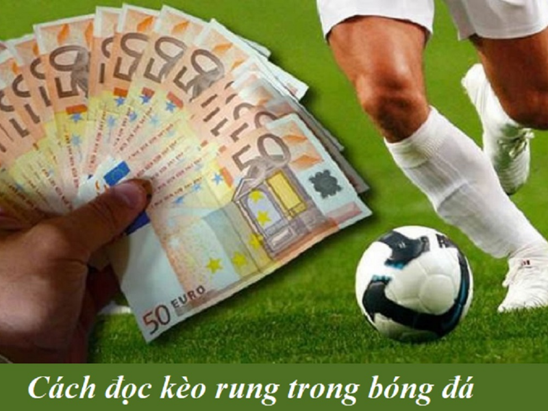 Những thông tin bổ ích về kèo rung trong bóng đá tại fun88