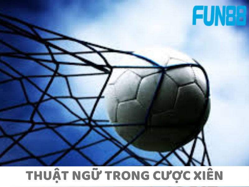 Những thuật ngữ trong cược xiên mà dân trong nghề biết chắc